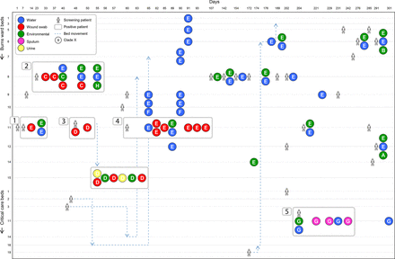 Figure 2