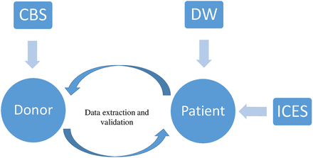 Figure 1