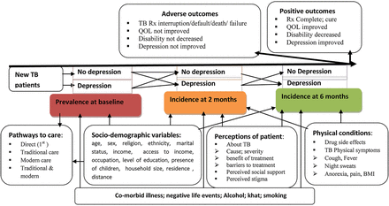 Figure 1